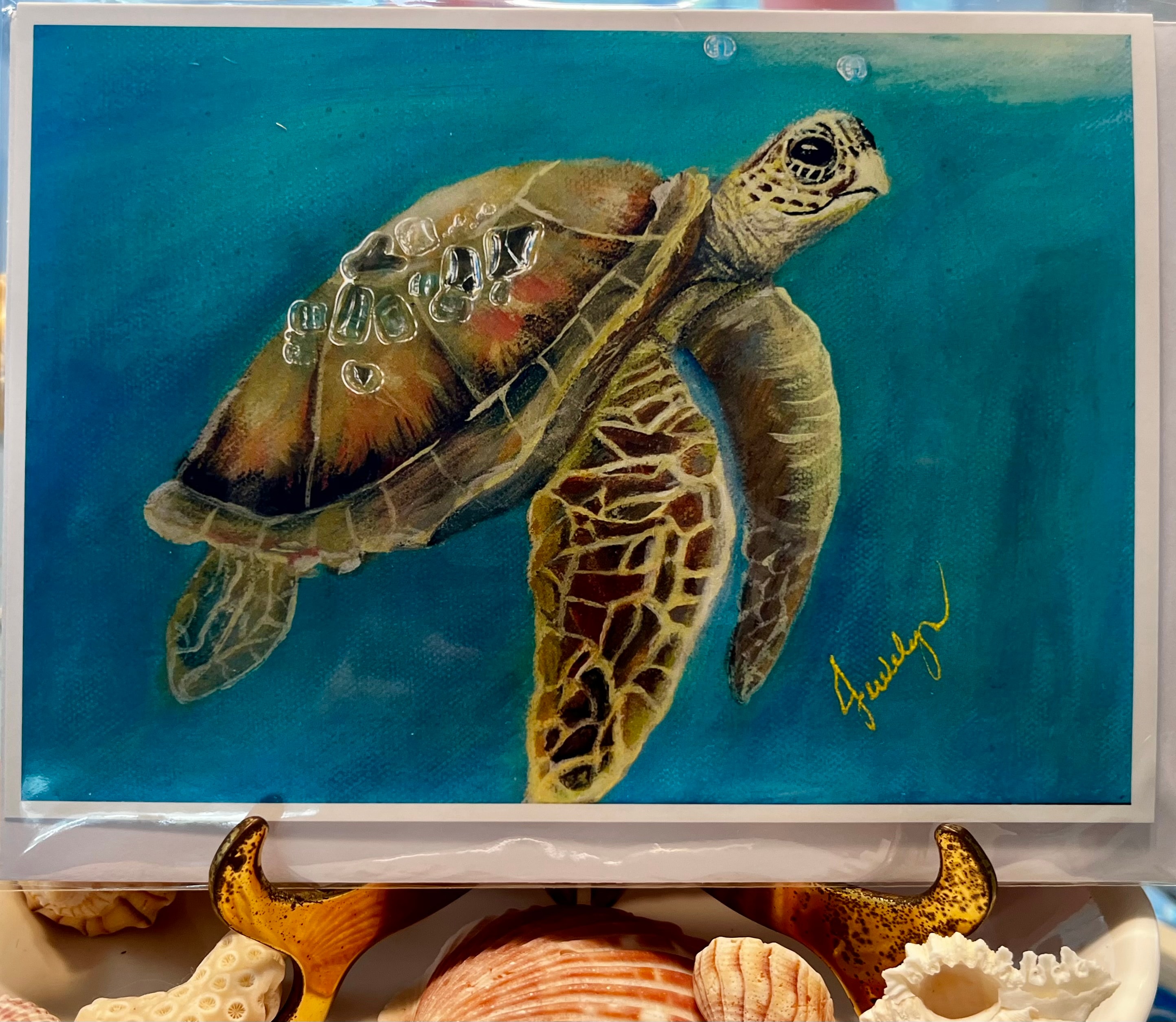 Sea Turtle II