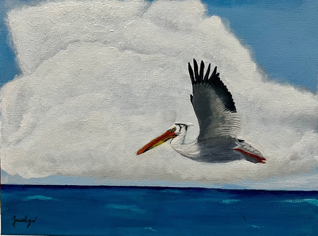 Up, Up, & Away — Pelican in Flight