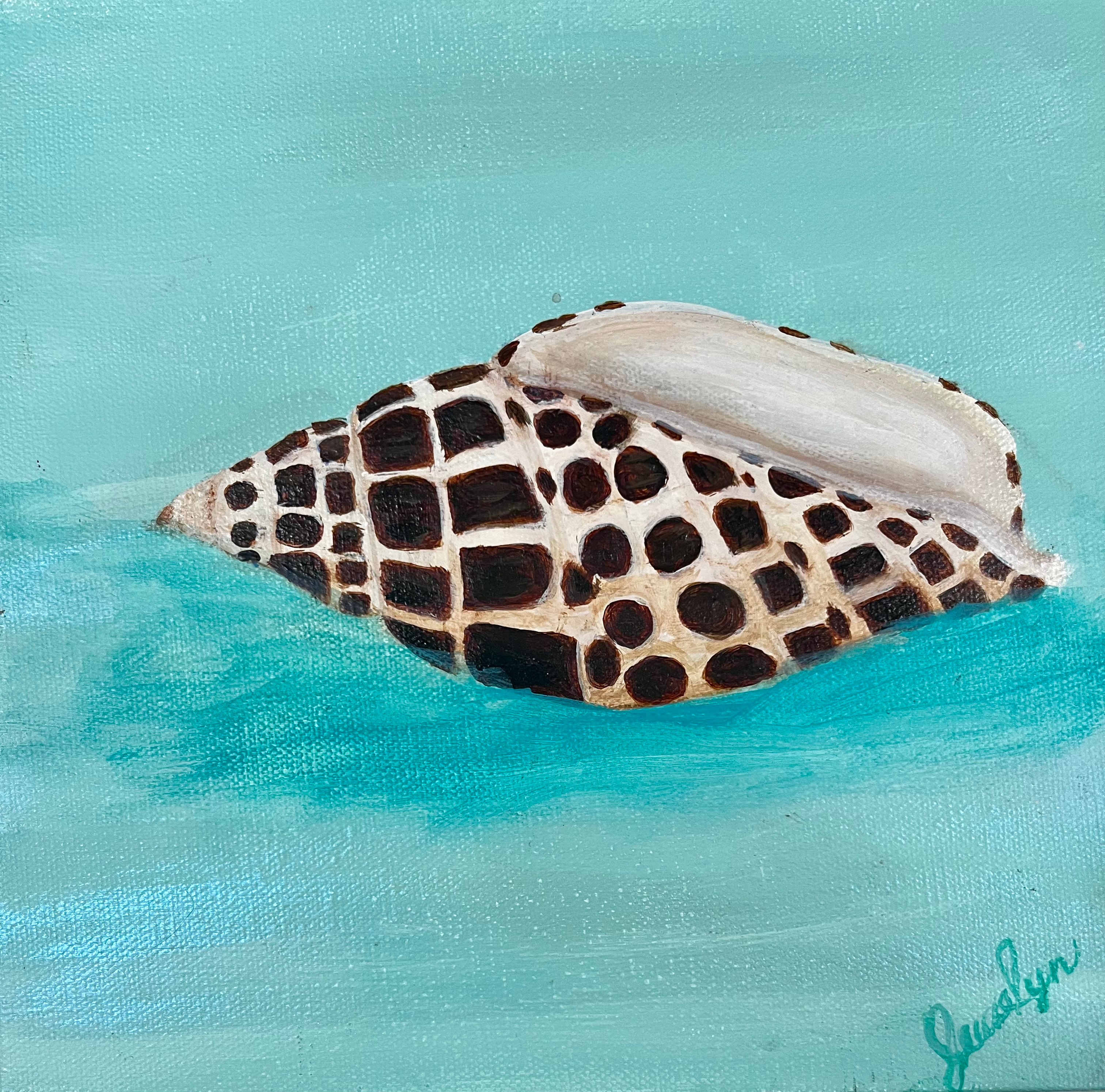 Found! The Elusive Junonia