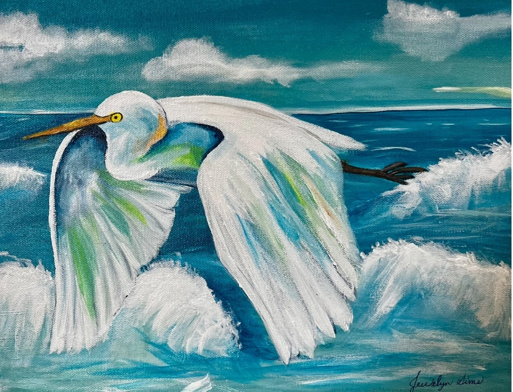 Flying Above the Waves
