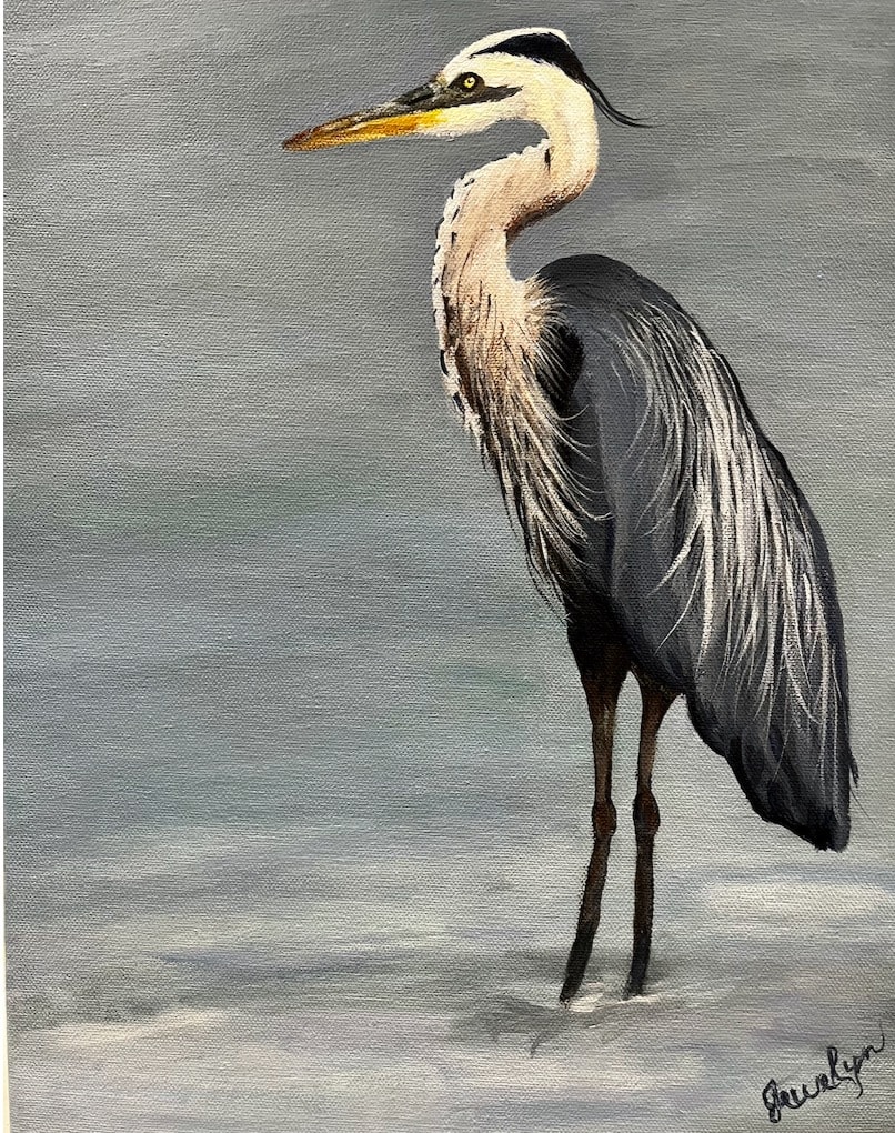 Great Blue Heron